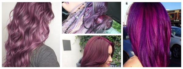 Violet en lila tinten 2014-2015 Violet